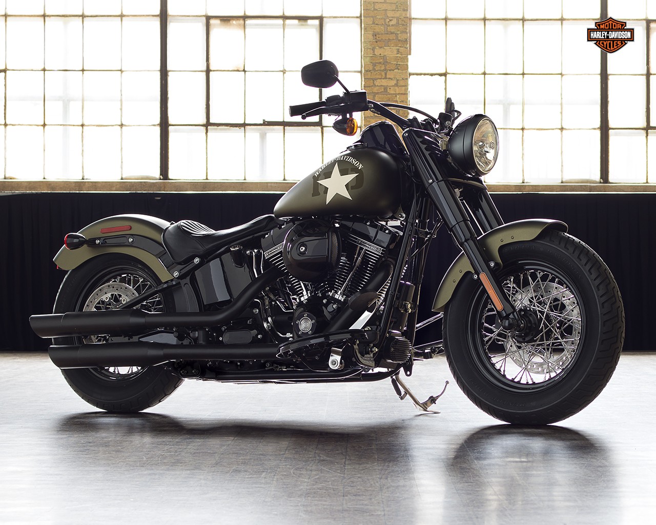 Why Green Is Considered An Unlucky Color for Harley Davidson - High 